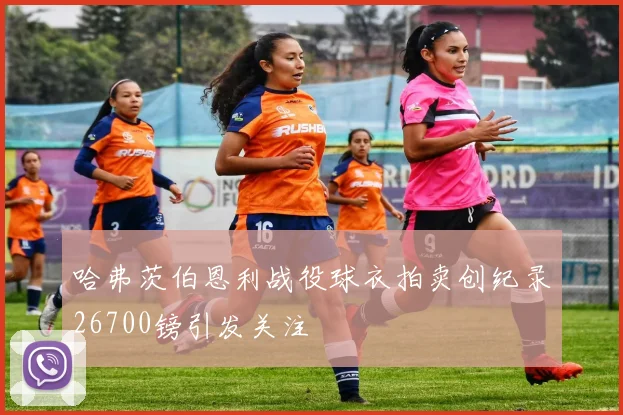 哈弗茨伯恩利战役球衣拍卖创纪录26700镑引发关注