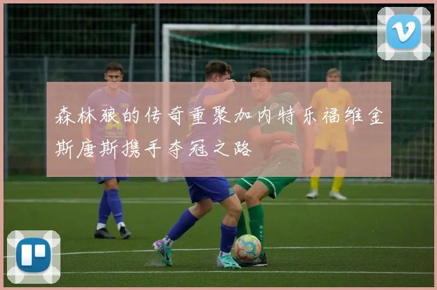 森林狼的传奇重聚加内特乐福维金斯唐斯携手夺冠之路
